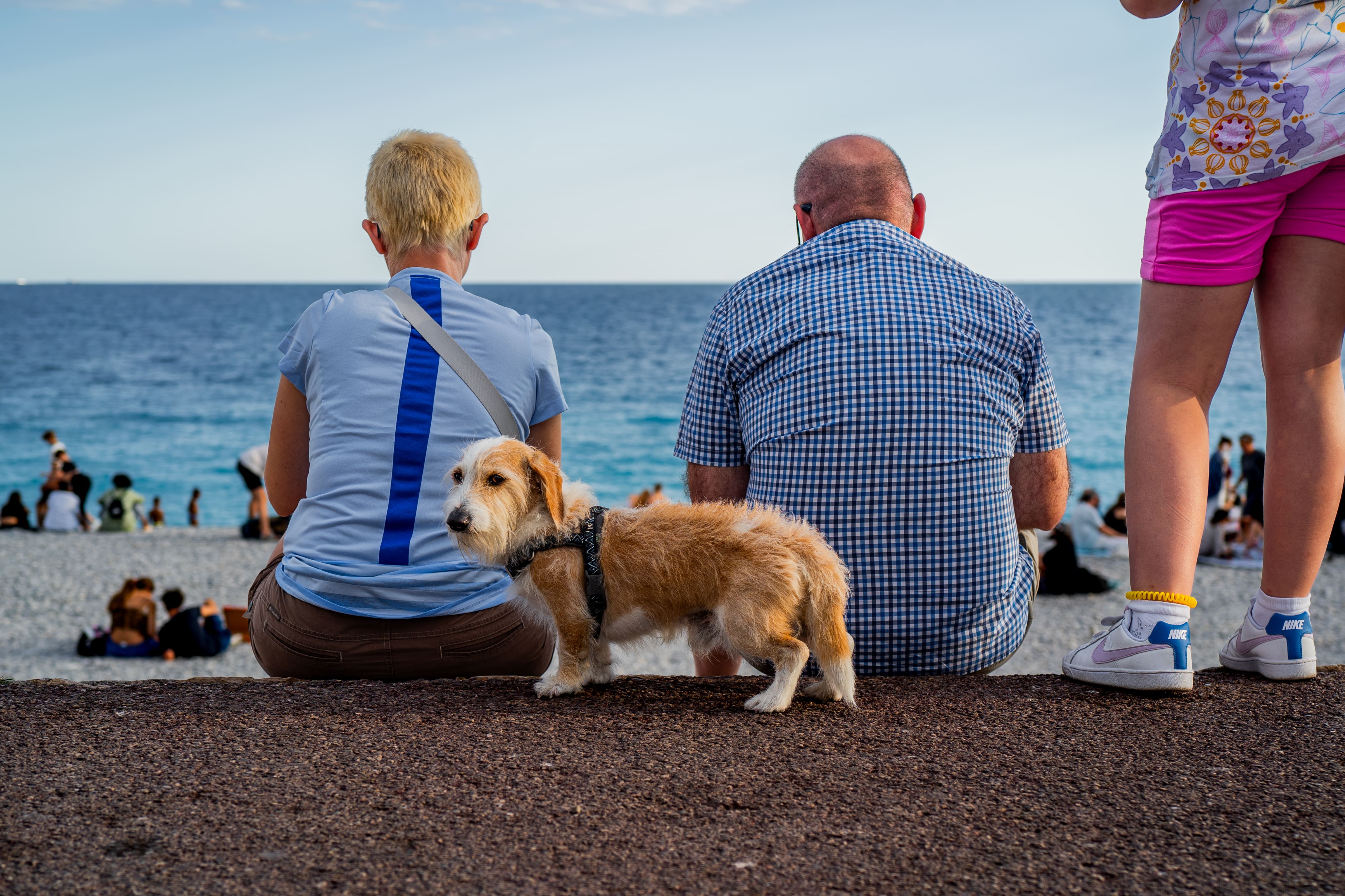 En Famille